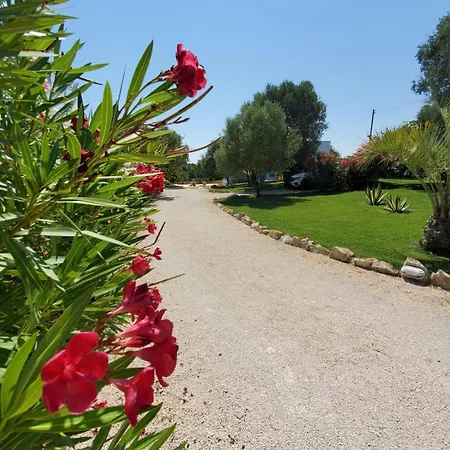 Camille Pool And Relax * Montalbano (Apulia)